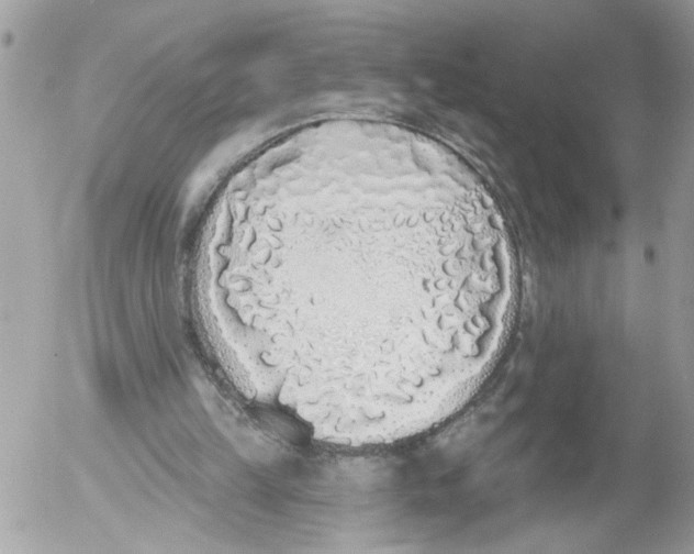 X0000052540149200507291859