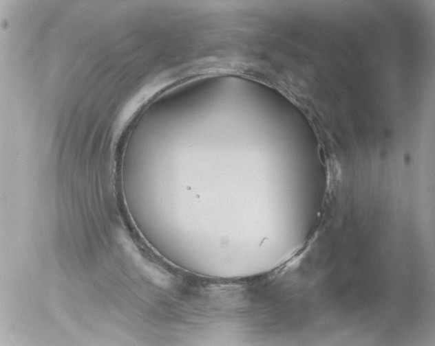 X0000052540150200507291859