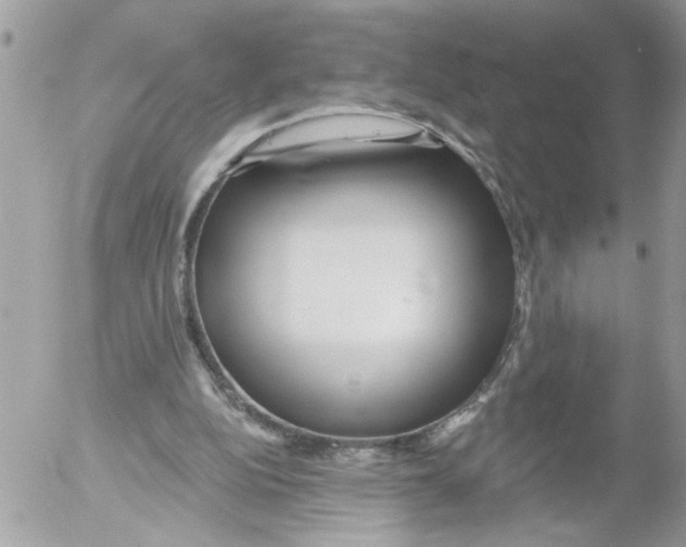 X0000052540152200507291859