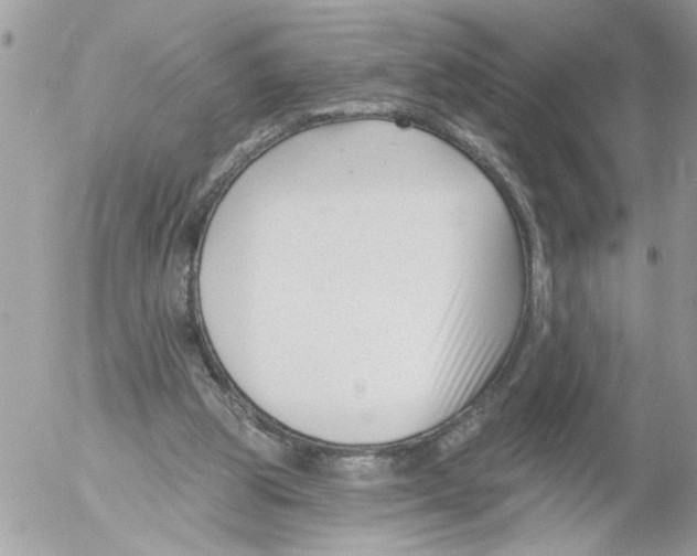 X0000052540153200507291859