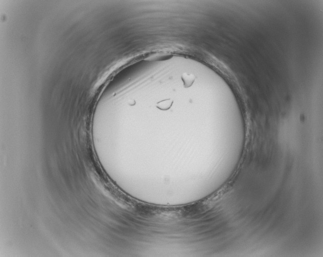 X0000052540155200507291859