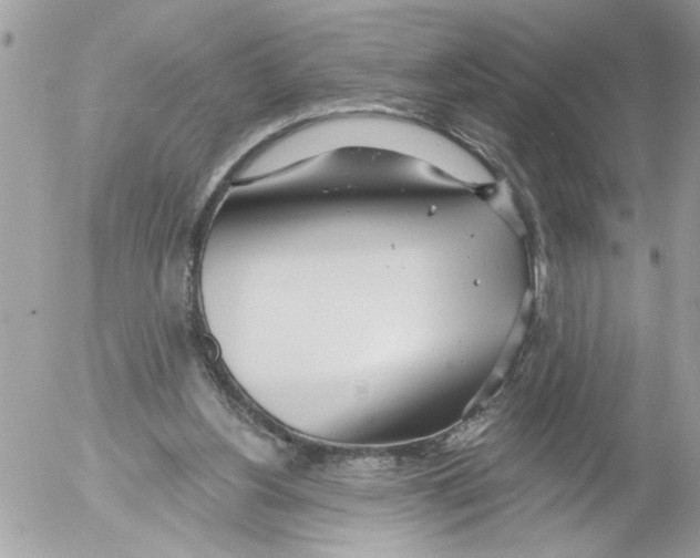 X0000052540156200507291859