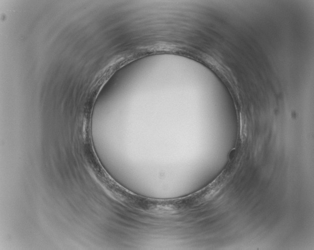 X0000052540157200507291859