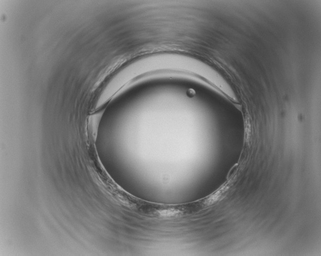 X0000052540158200507291859