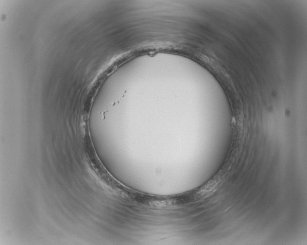 X0000052540160200507291859