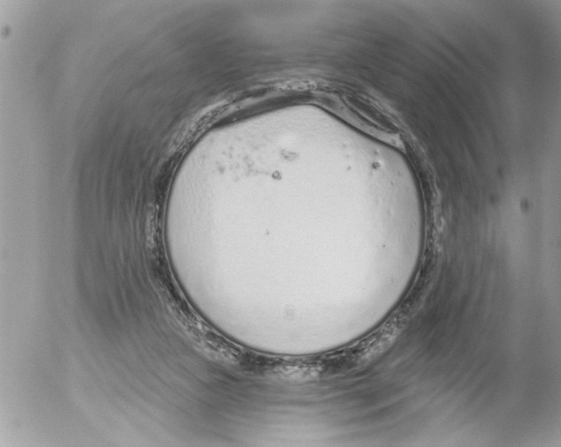 X0000052540161200507291859