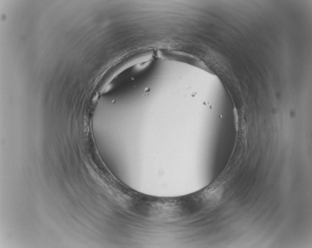 X0000052540164200507291859