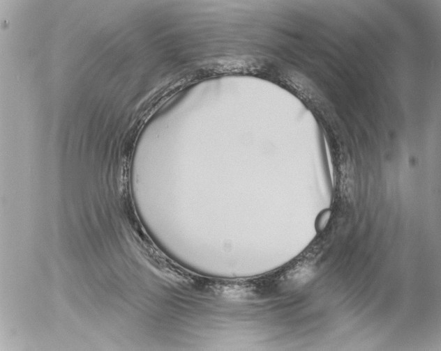 X0000052540165200507291859