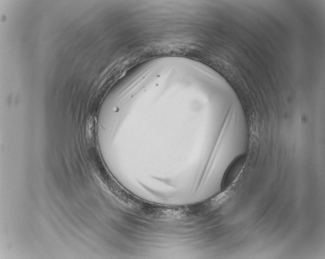 X0000052540166200507291859