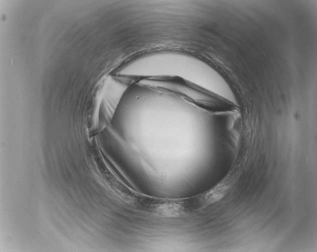 X0000052540168200507291859