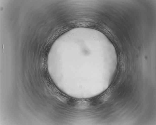 X0000052540169200507291859