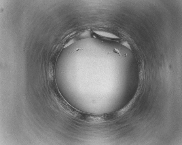 X0000052540170200507291859