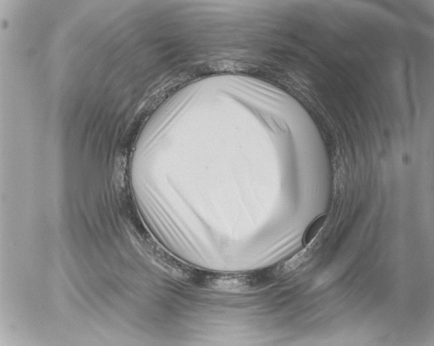 X0000052540171200507291859