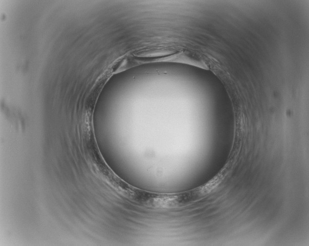 X0000052540172200507291859