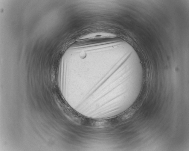 X0000052540173200507291859