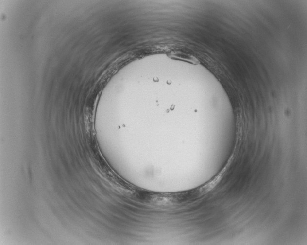 X0000052540174200507291859