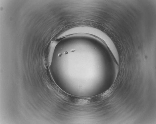 X0000052540176200507291859