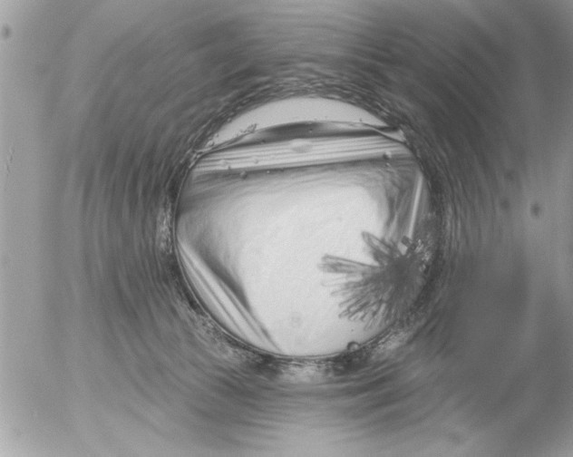 X0000052540177200507291859