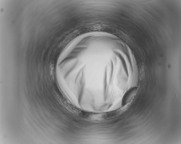 X0000052540178200507291859