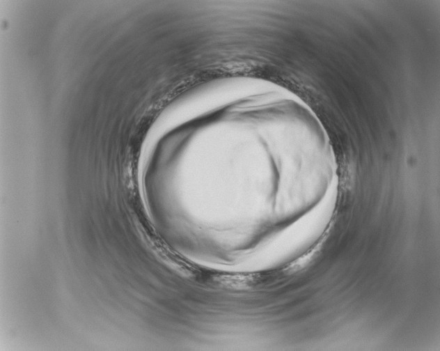 X0000052540182200507291859