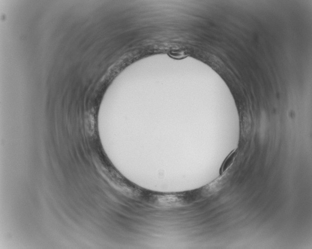 X0000052540183200507291859