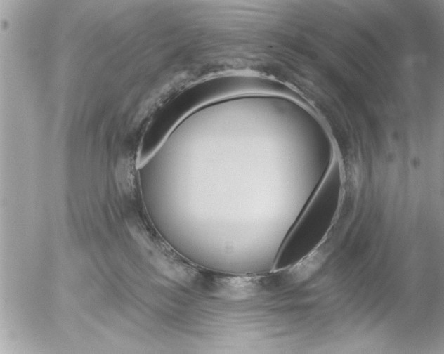 X0000052540184200507291859