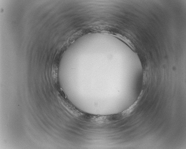 X0000052540186200507291900