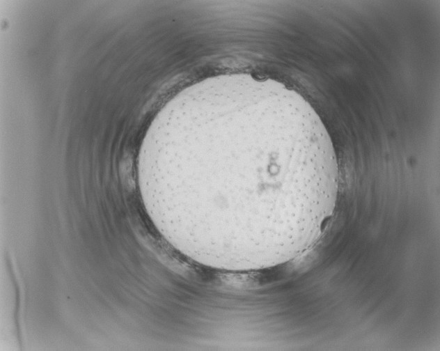 X0000052540187200507291900