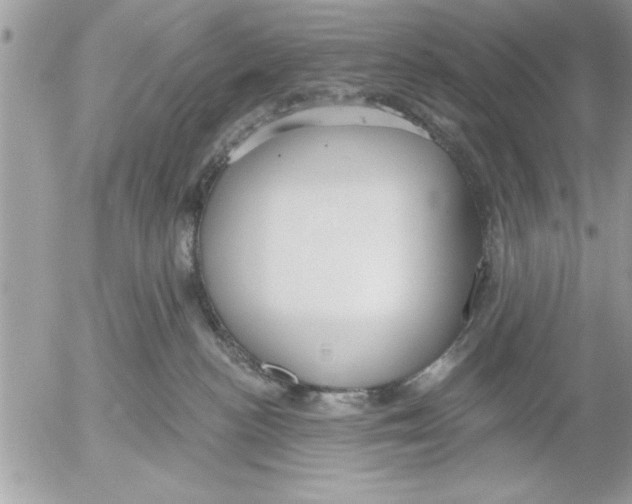 X0000052540188200507291900