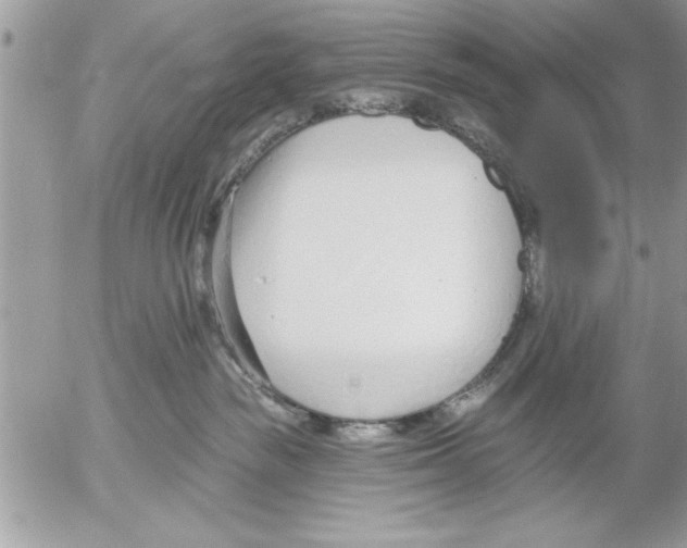 X0000052540189200507291900