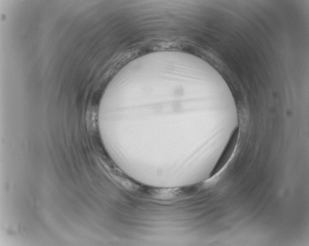 X0000052540191200507291900