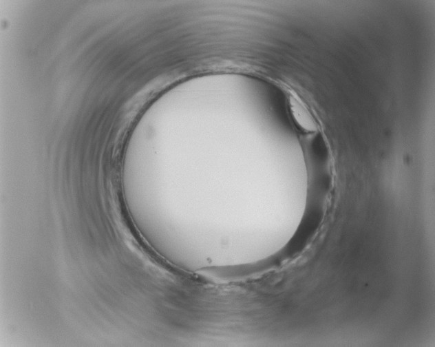 X0000052540193200507291859