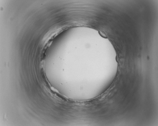 X0000052540194200507291859