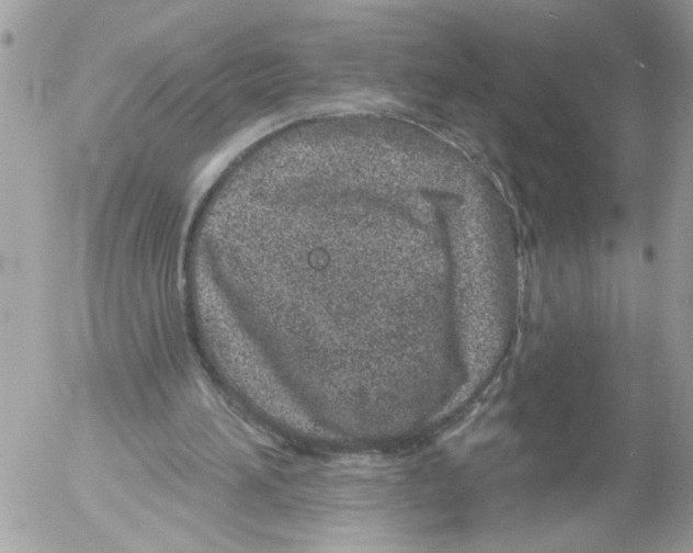 X0000052540196200507291859