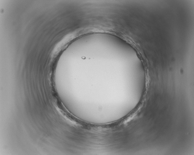 X0000052540197200507291859