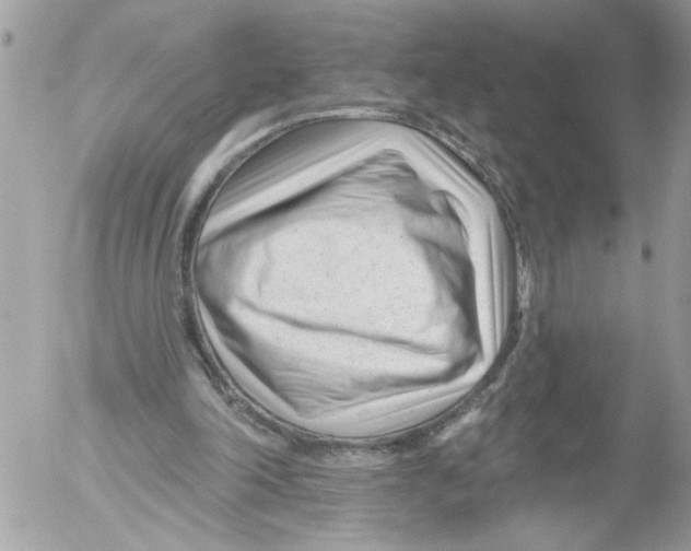 X0000052540198200507291859