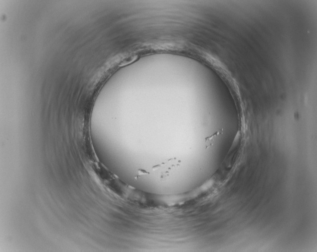 X0000052540201200507291859