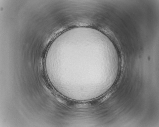 X0000052540202200507291859