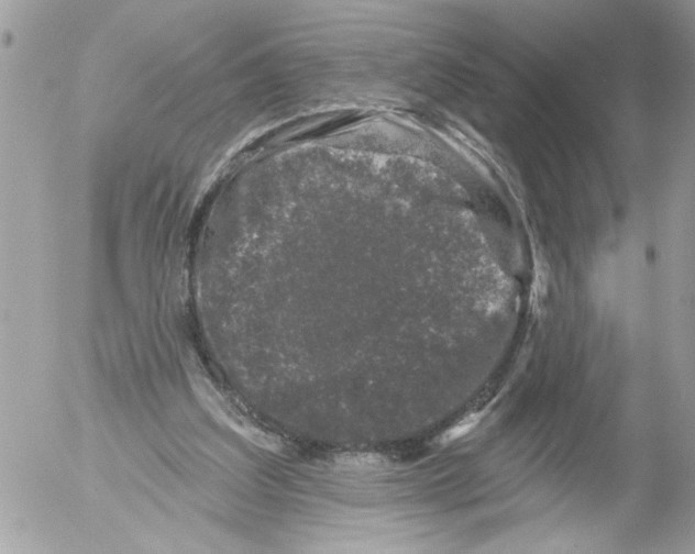 X0000052540203200507291859