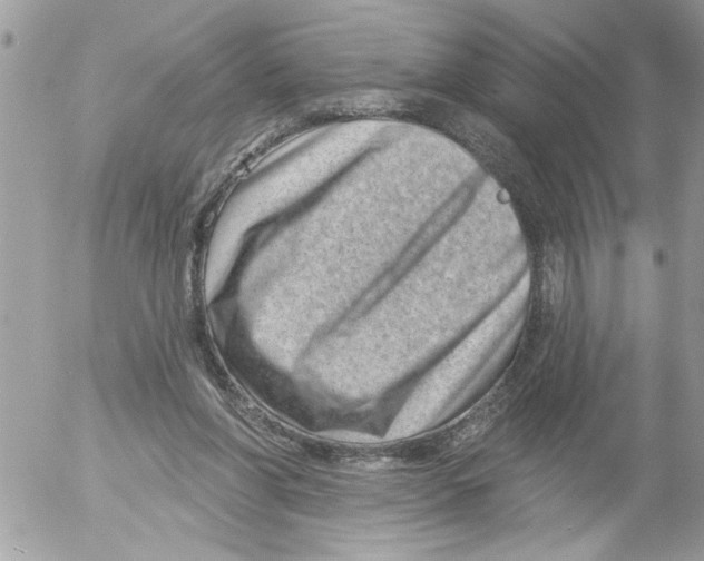 X0000052540206200507291859