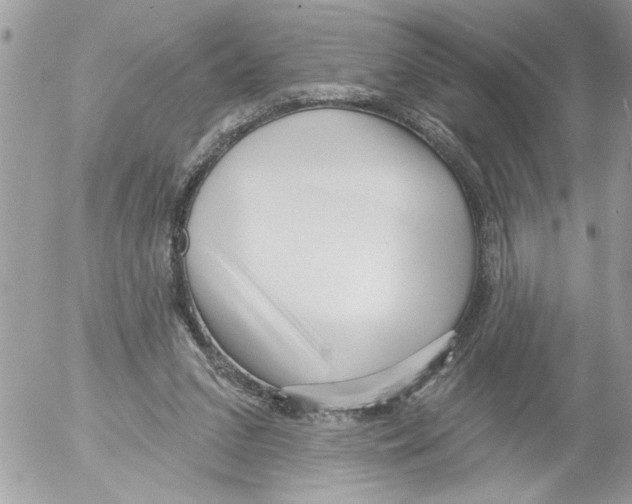 X0000052540207200507291859