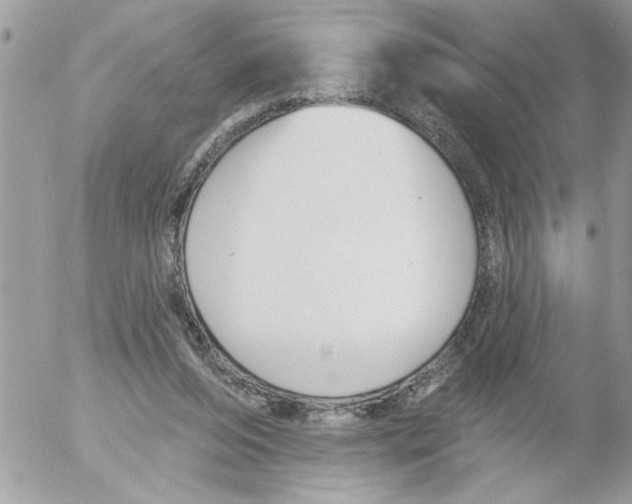 X0000052540208200507291859