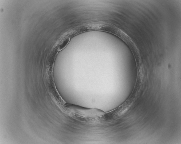 X0000052540209200507291859