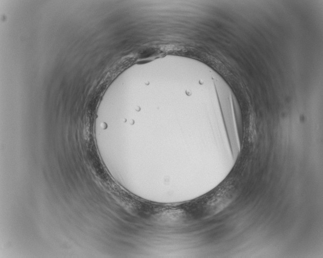 X0000052540210200507291859