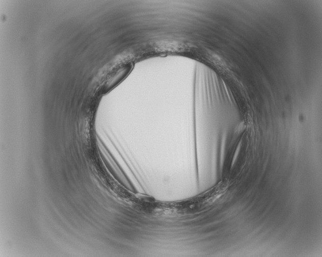 X0000052540211200507291859