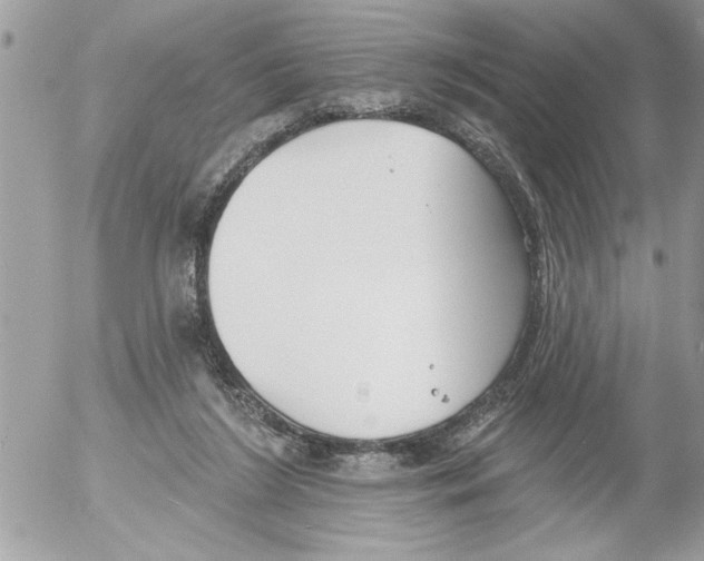 X0000052540212200507291859