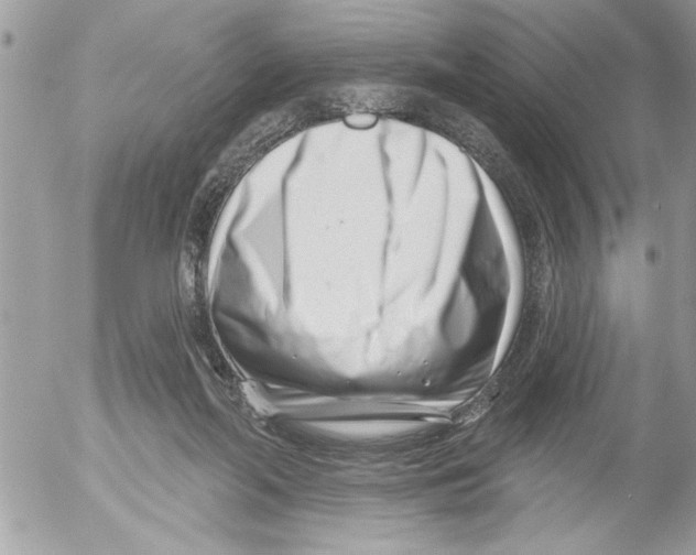 X0000052540214200507291858