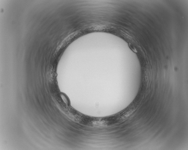 X0000052540216200507291858