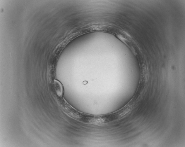 X0000052540217200507291858