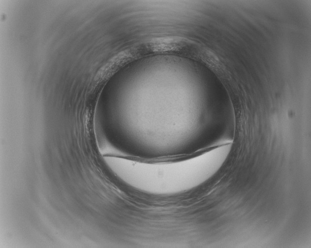 X0000052540219200507291858